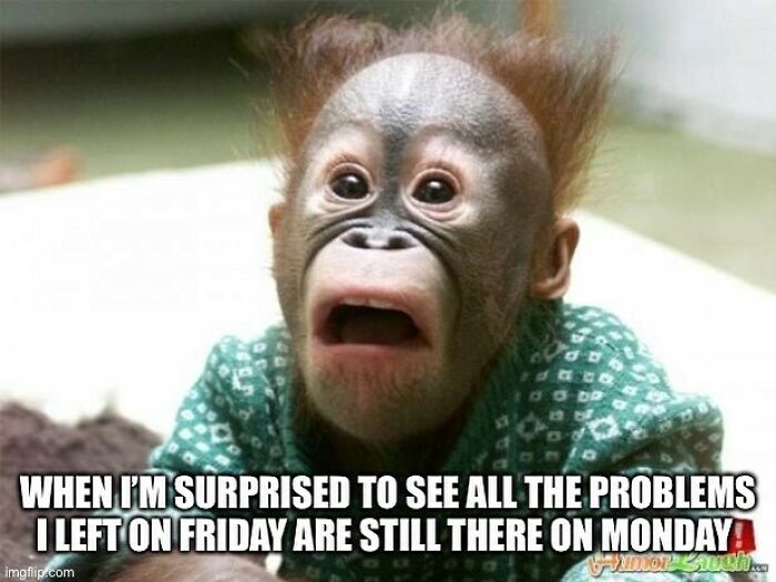 Funny-Work-From-Home-Memes