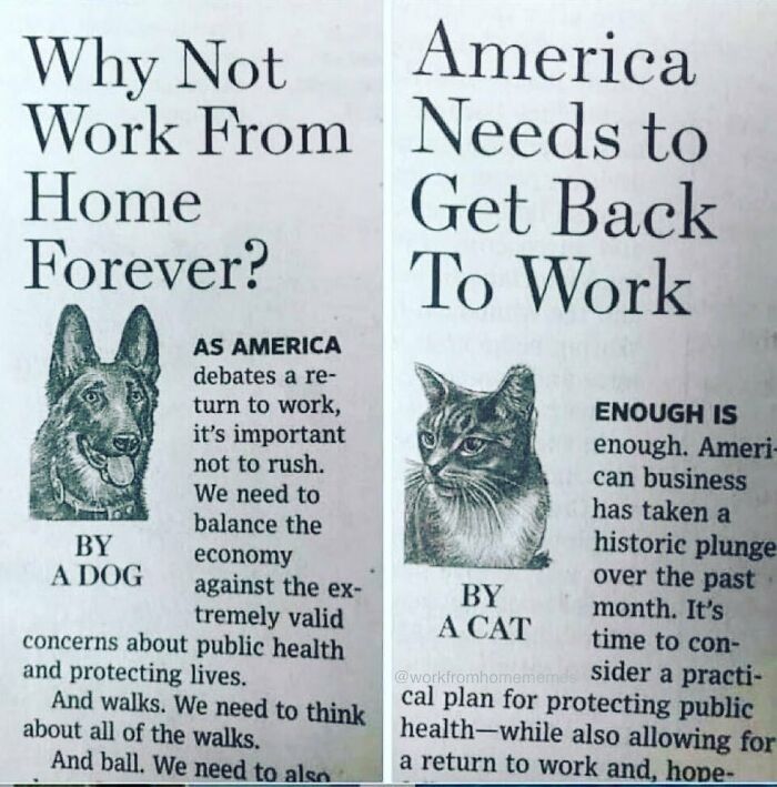 Funny-Work-From-Home-Memes