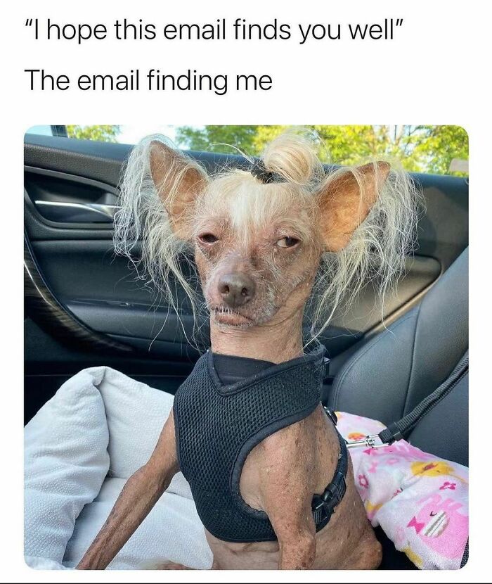 Funny-Relatable-Struggle-Memes