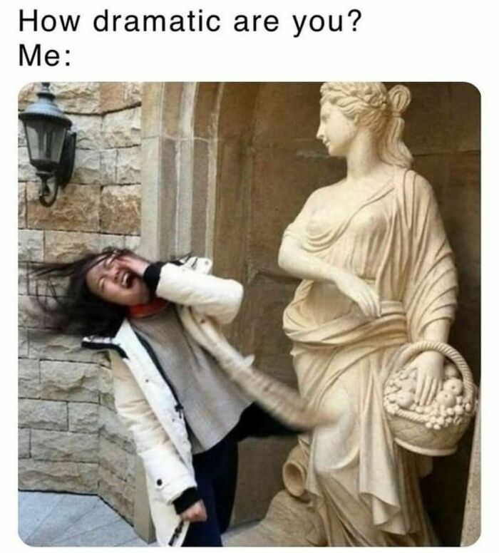 Funny-Daily-Humor-Memes