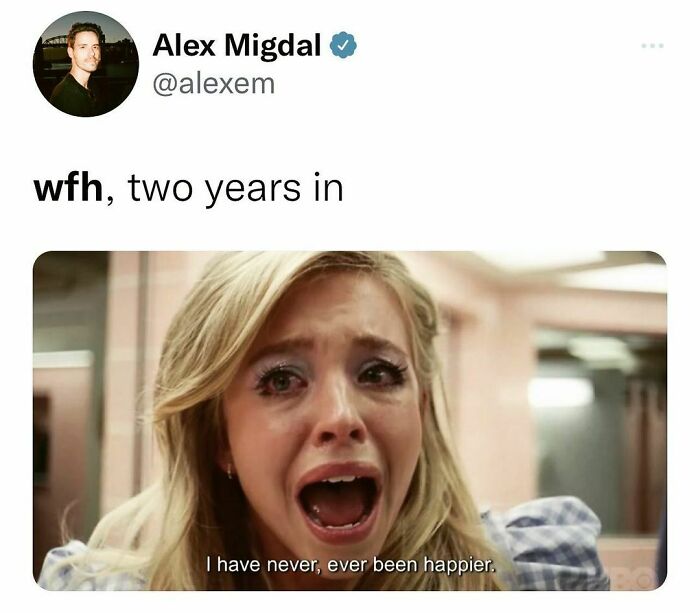 Funny-Work-From-Home-Memes