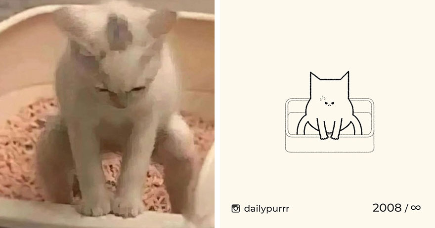 Cats By Daily Purrr (New Pics)