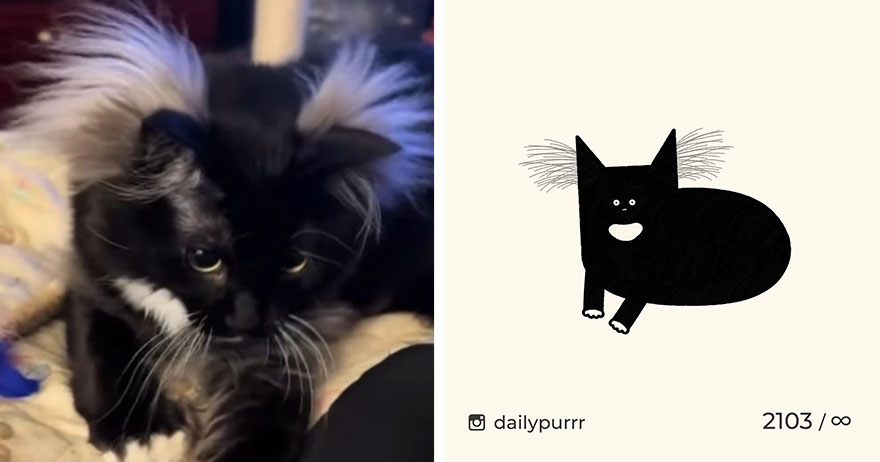 Cats By Daily Purrr (New Pics)