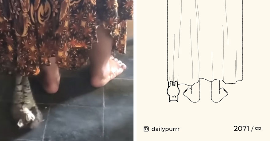 Cats By Daily Purrr (New Pics)