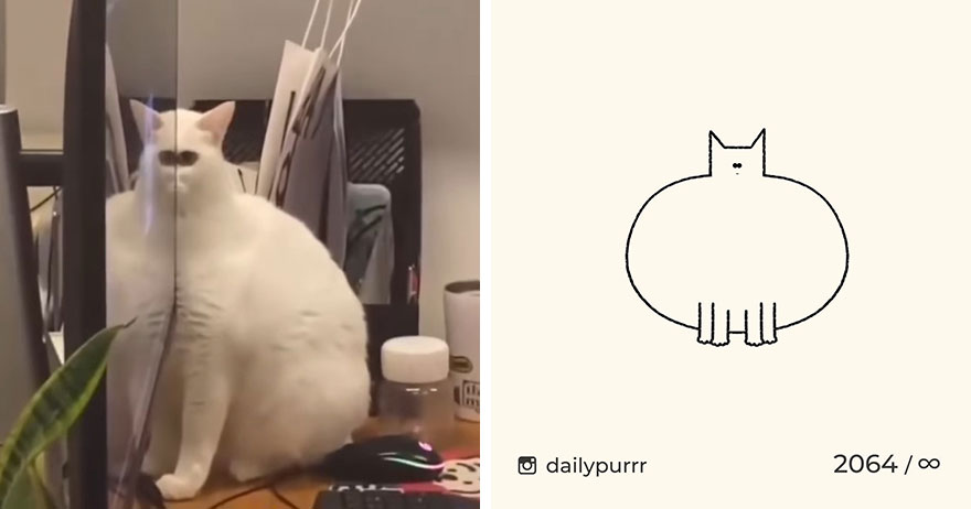 Cats By Daily Purrr (New Pics)