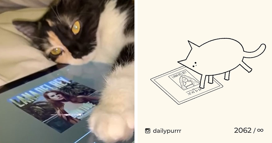 Cats By Daily Purrr (New Pics)