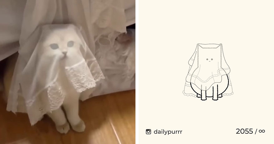 Cats By Daily Purrr (New Pics)