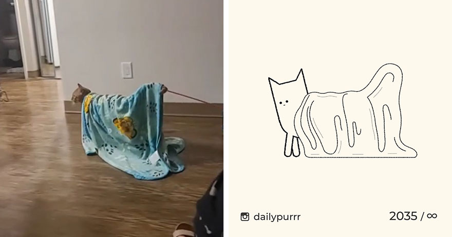 Cats By Daily Purrr (New Pics)