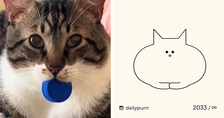 Cats By Daily Purrr (New Pics)