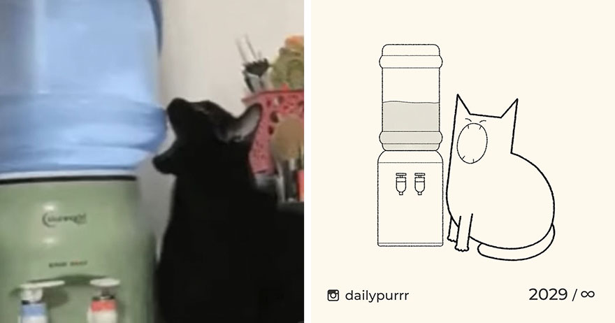 Cats By Daily Purrr (New Pics)