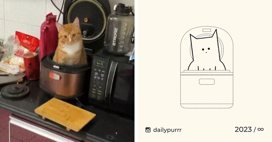 Cats By Daily Purrr (New Pics)