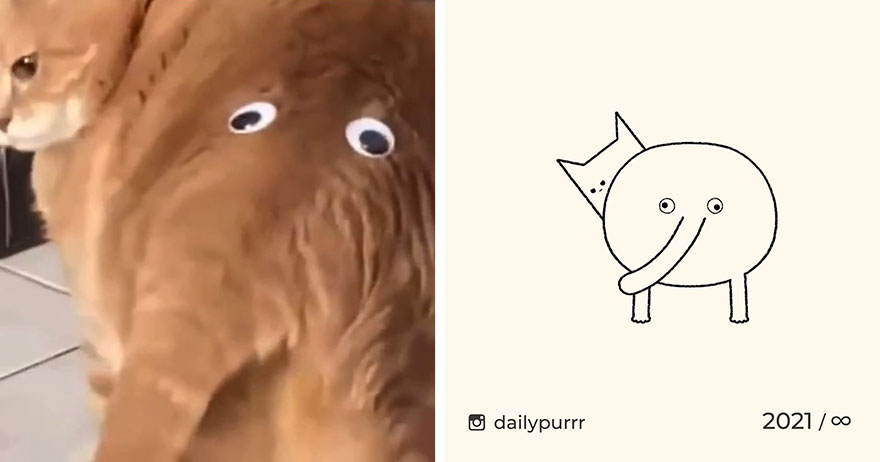 Cats By Daily Purrr (New Pics)