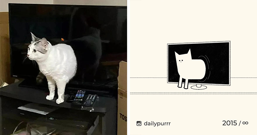 Cats By Daily Purrr (New Pics)