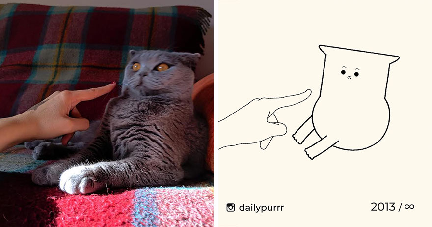 Cats By Daily Purrr (New Pics)