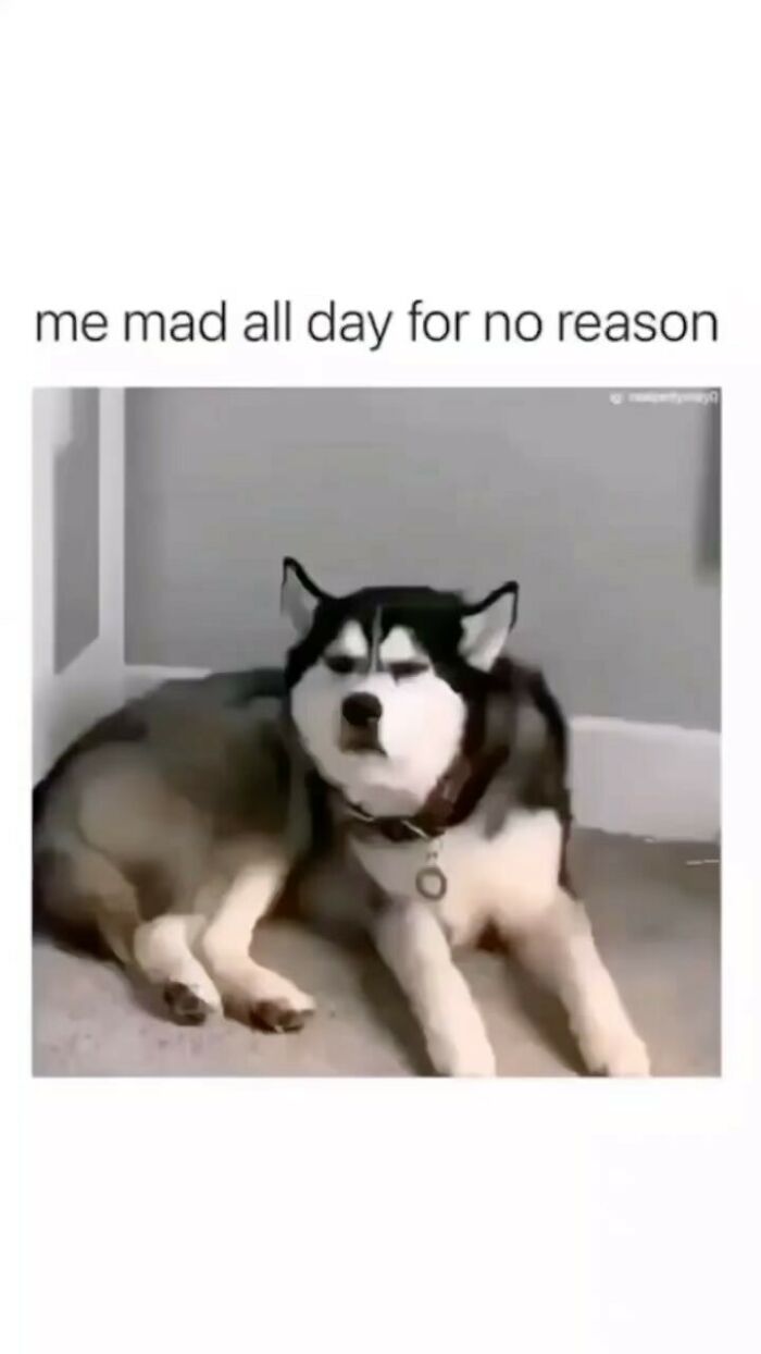 Funny-Relatable-Struggle-Memes