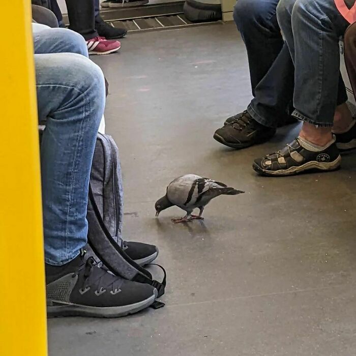 Berlin-Subway-Creatures-Weird-Funny-Pics