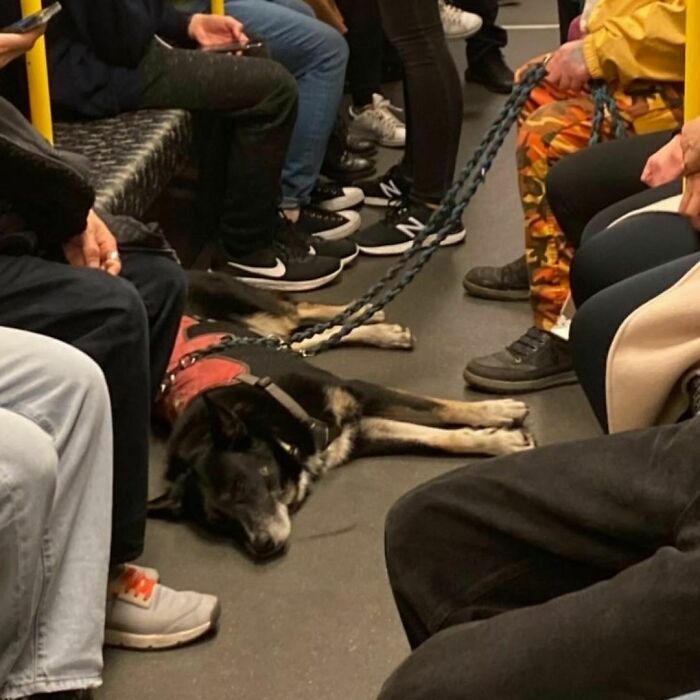 Berlin-Subway-Creatures-Weird-Funny-Pics