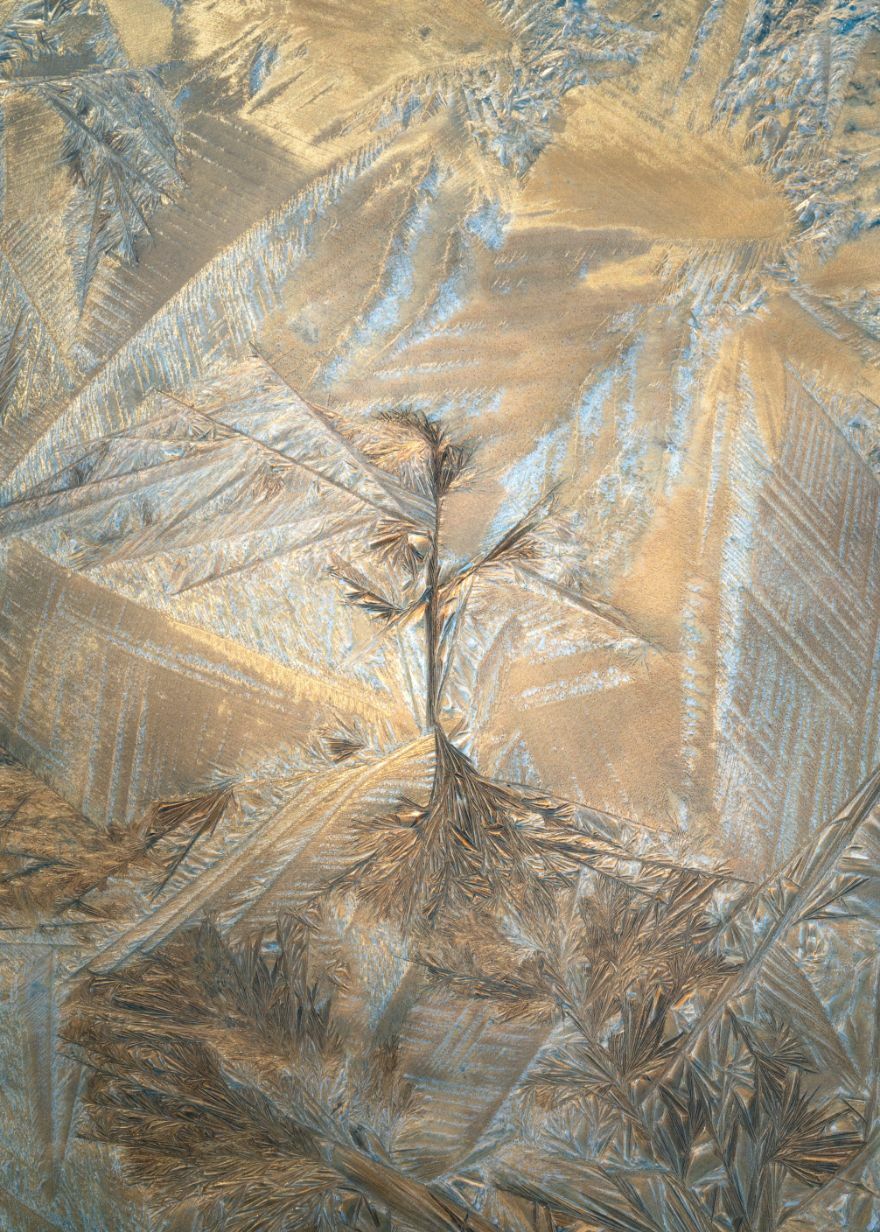 3rd Place In The Category Of Intimate Landscape: "The Sorcerors Apprentice" By Jack Krohn