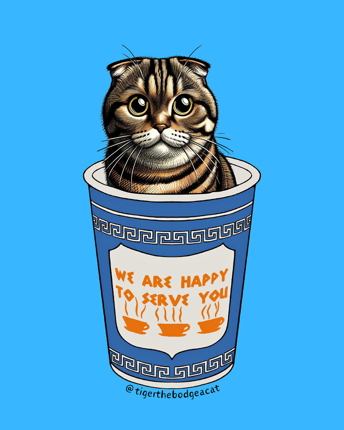 We Capture The Essence Of NYC Through Cute And Funny Photos Of Bodega Cats