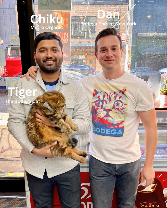 We Capture The Essence Of NYC Through Cute And Funny Photos Of Bodega Cats