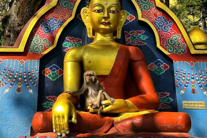 Coincidences By Bryan Stokely (New Pics)