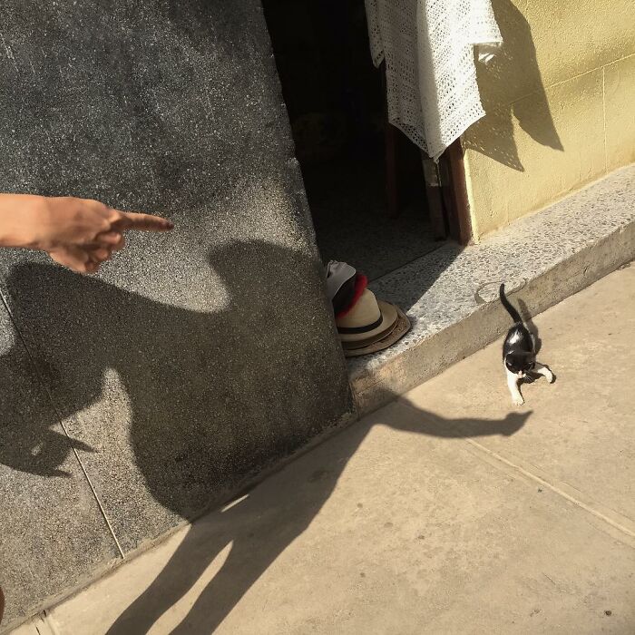 Coincidences By Bryan Stokely (New Pics)