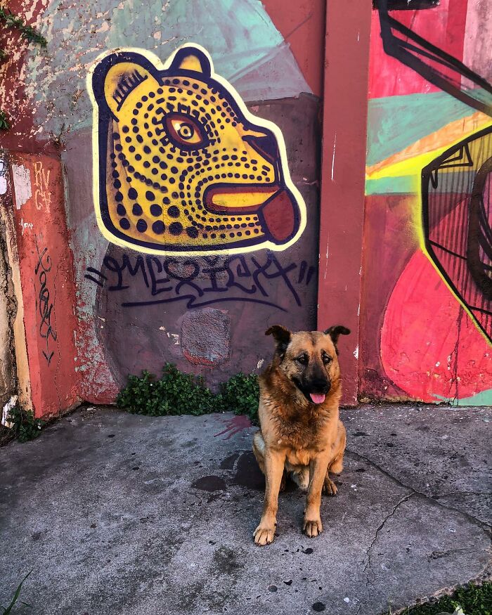 Coincidences By Bryan Stokely (New Pics)