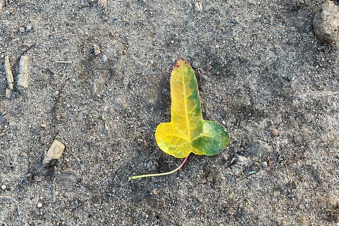 Coincidences By Bryan Stokely (New Pics)