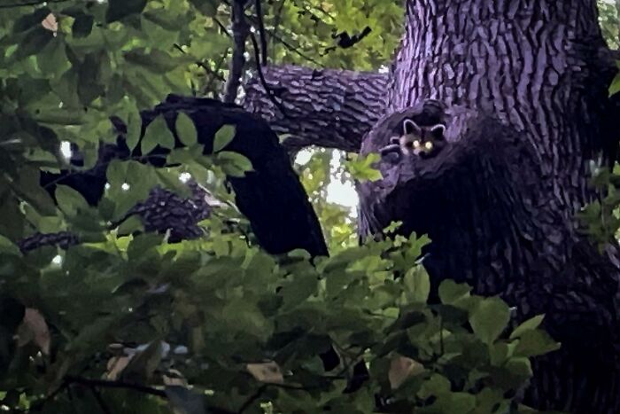 Coincidences By Bryan Stokely (New Pics)