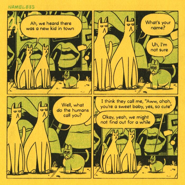 Comic of two cats and a kitten in a funny situation by Maritsa Patrinos, discussing the kitten's name.