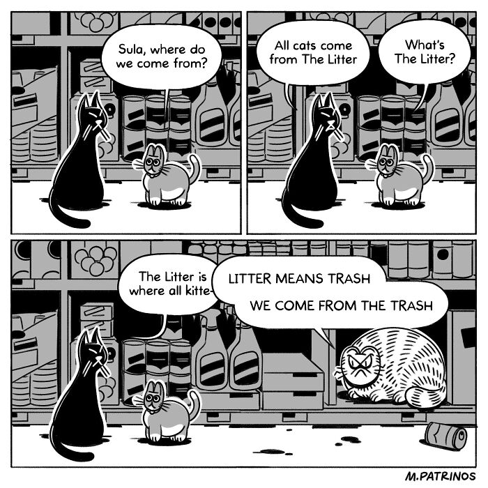 Funny illustration by Maritsa Patrinos showing two cats discussing where they come from, with a humorous twist about litter.