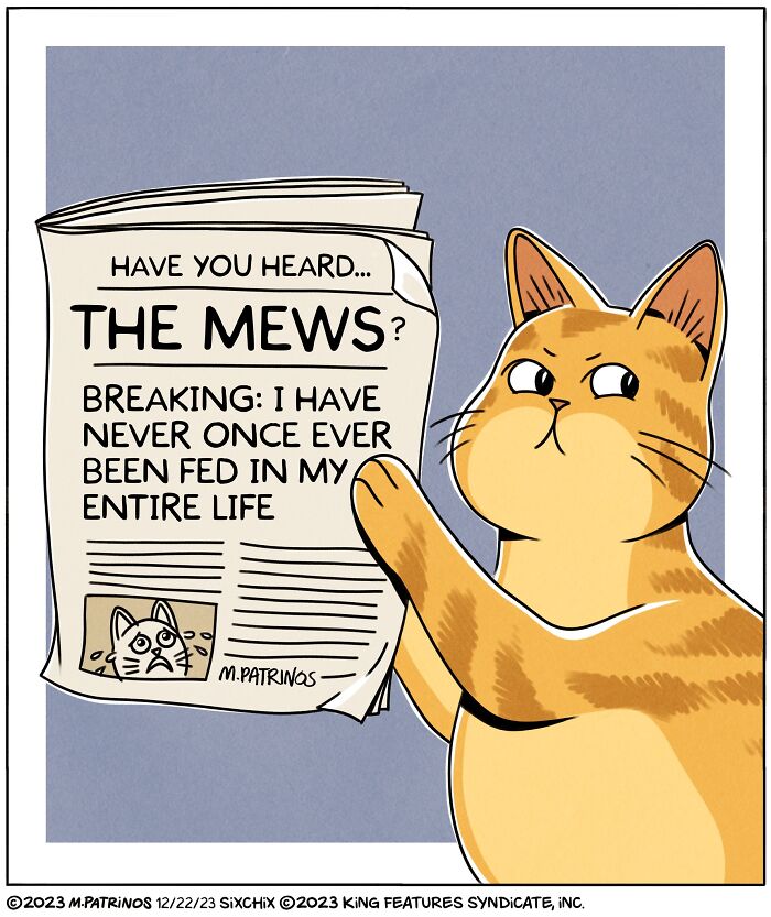Cat holding newspaper with headline, "Breaking: I have never once ever been fed," illustrating a funny situation by Maritsa Patrinos.