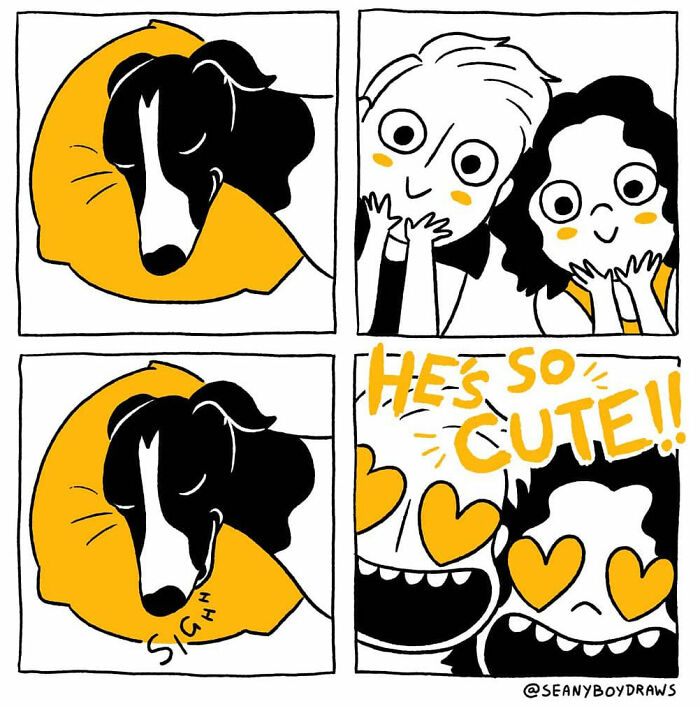 Comic panels showing a dog resting on a pillow and two people reacting with love, reflecting funny real-life experiences comics.