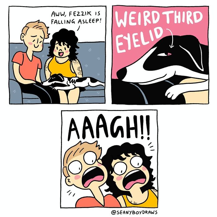 Funny comics based on real-life experiences show a couple surprised by their dog's weird third eyelid while sitting on a couch.
