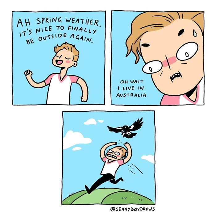 Funny comic about real-life experiences showing a person enjoying spring weather but chased by a bird in Australia.