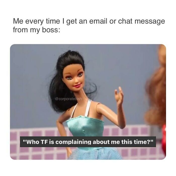 Tf Did I Do This Time