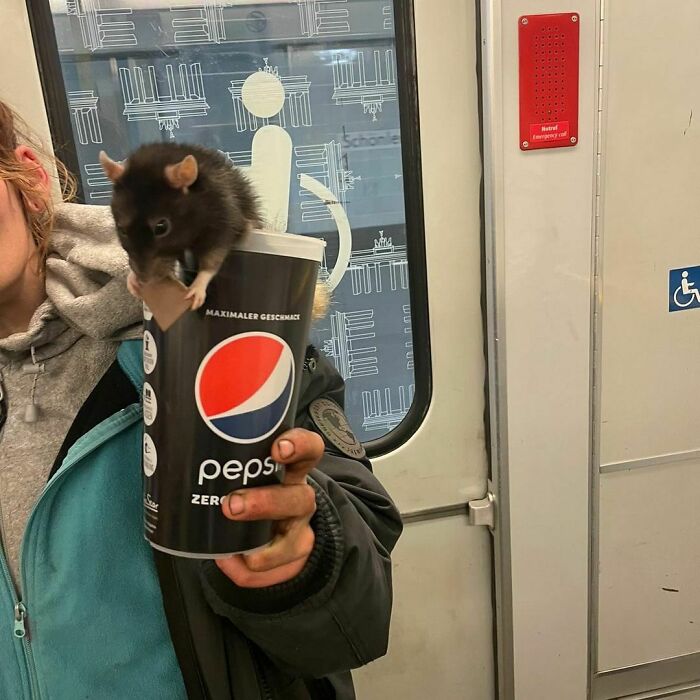 Berlin-Subway-Creatures-Weird-Funny-Pics