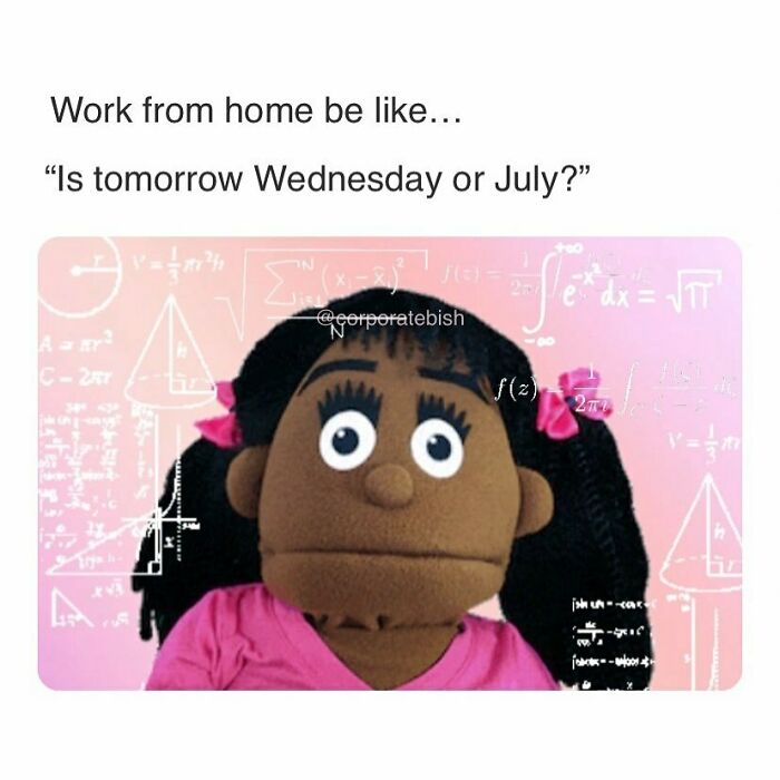 A funny work meme featuring a puppet with a confused expression on a pink background with equations.