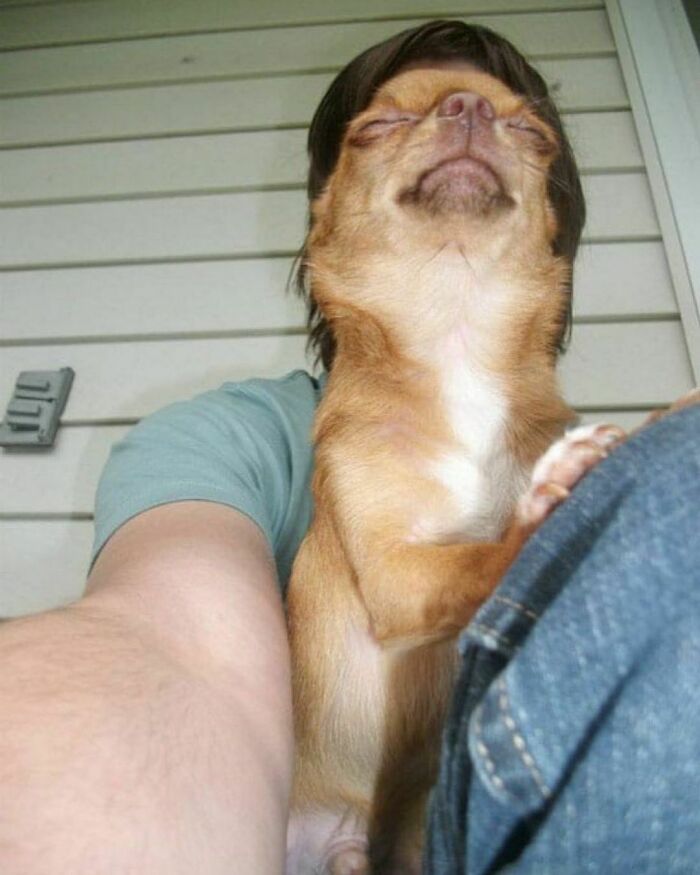 Hilarious-Animal-Pics