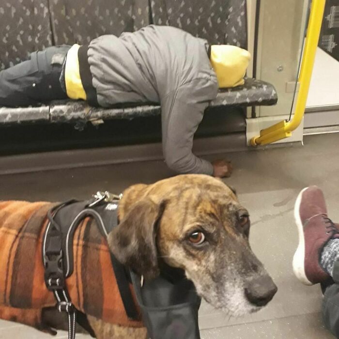 Berlin-Subway-Creatures-Weird-Funny-Pics