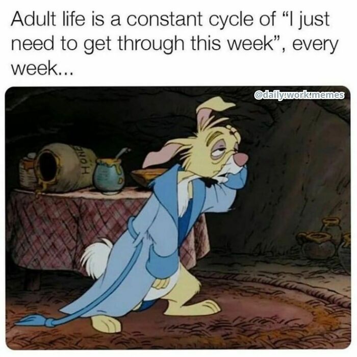 Tired cartoon rabbit in robe with meme text about adult life and getting through the work week relatable meme.