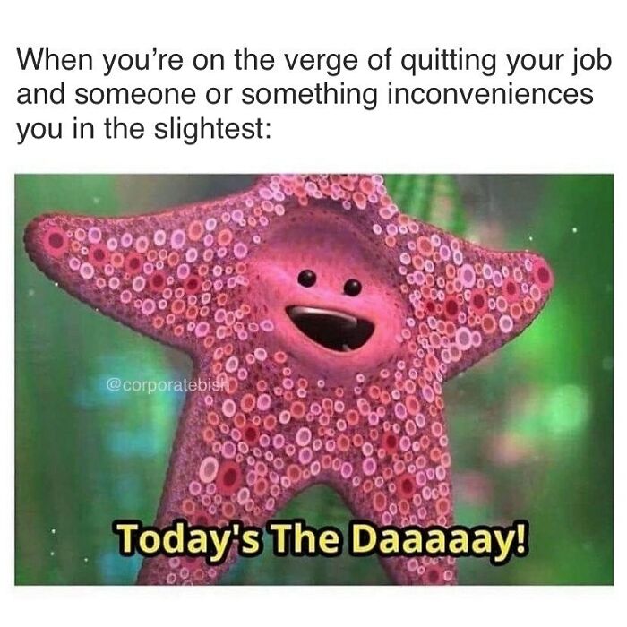 Funny work meme featuring a pink starfish with text about quitting your job and "Today's The Daaaay!"