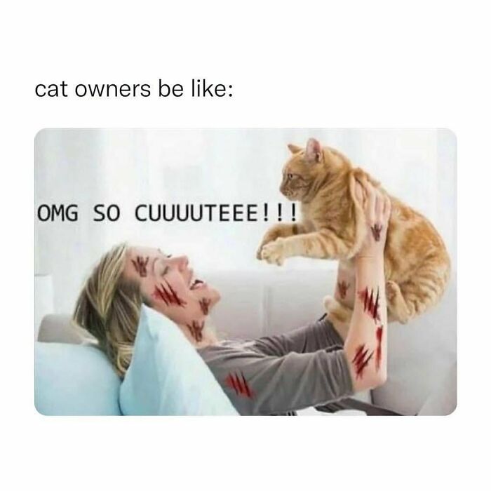 Queen-Of-Sarcasm-Memes