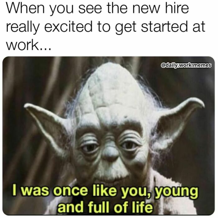 Meme featuring Yoda humorously addressing new hires, relatable work day humor in funny work memes to get through the day.