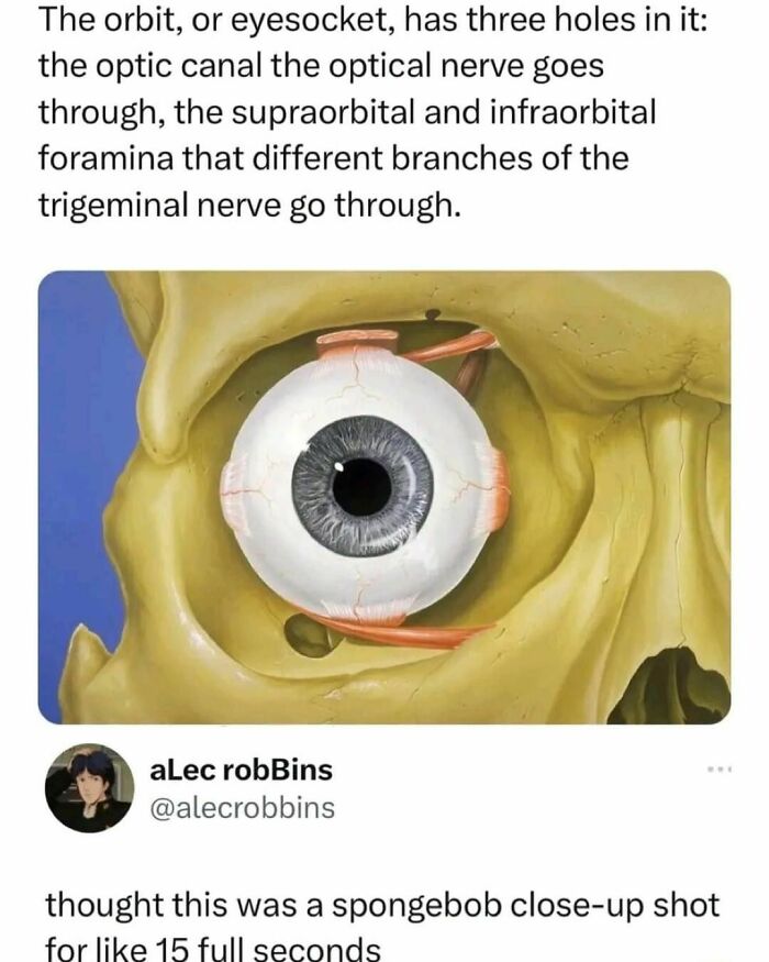 Right-In-The-Childhood-Memes