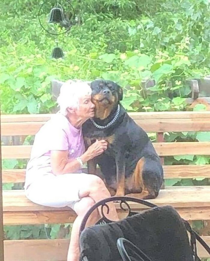 Hilarious-Animal-Pics