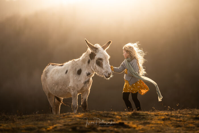 A Girl Meeting A Donkey
