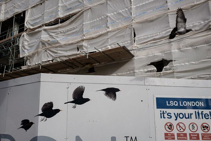 30 Best Fun Accidents Captured On Streets By This Photographer (New Pics)