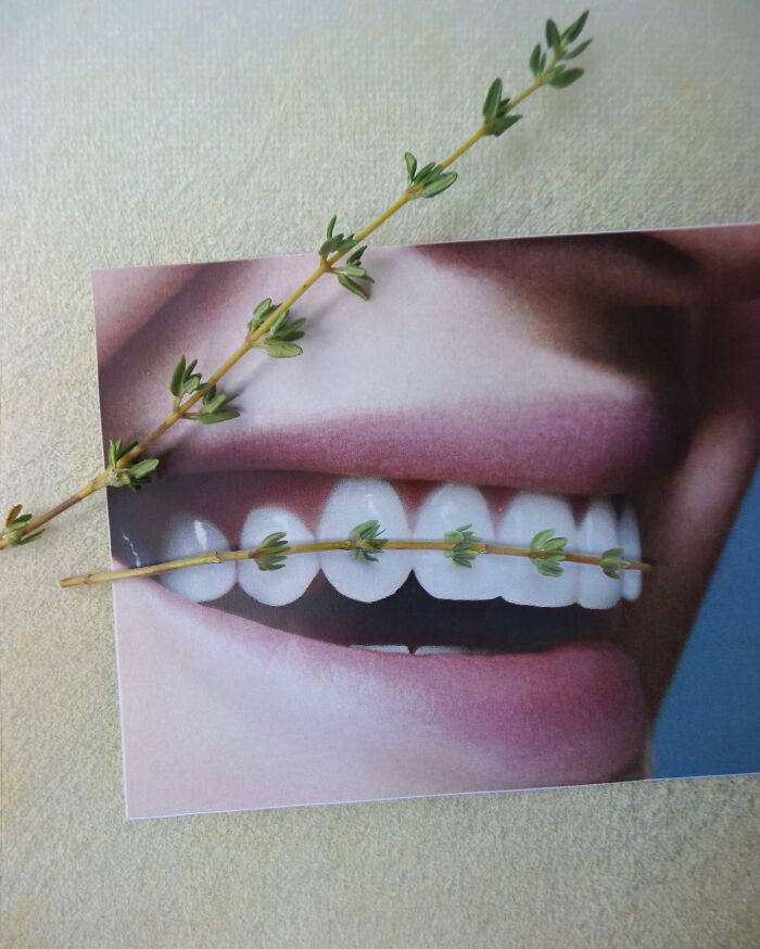 Dudi Ben Simon Crafts A New Narrative From Items, Breathing Fresh Life Into The Ordinary