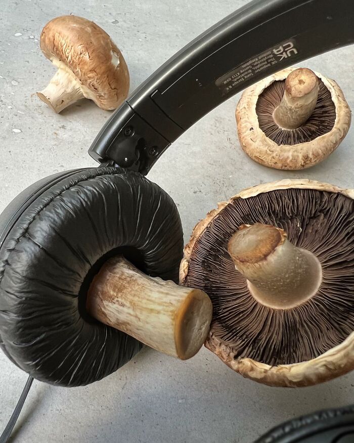 Dudi Ben Simon Crafts A New Narrative From Items, Breathing Fresh Life Into The Ordinary